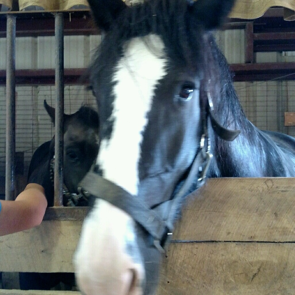 Meet your Posher, Laura